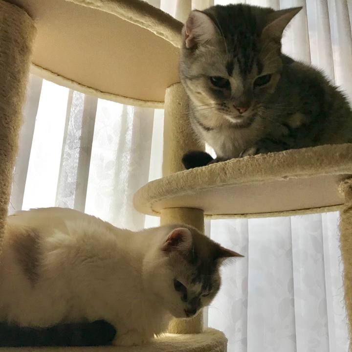 63b8d3db 3a51 48e7 8cc3 026c0ab9a631 1541634136756