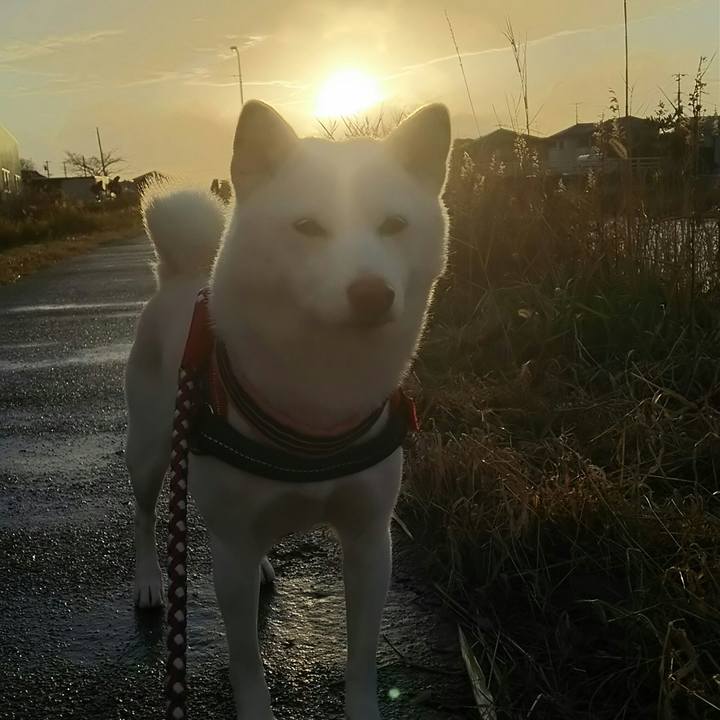 63b8ddad 502f 44b4 ba2e 354a26e3b03b 1578469286205