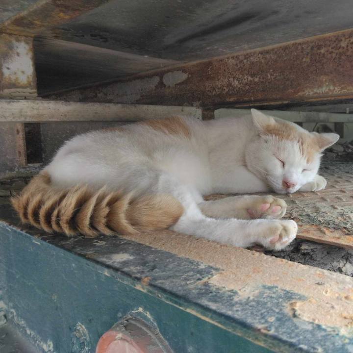 63b8e9e1 a45e 463c a07d 364e561c742a 1693094525079