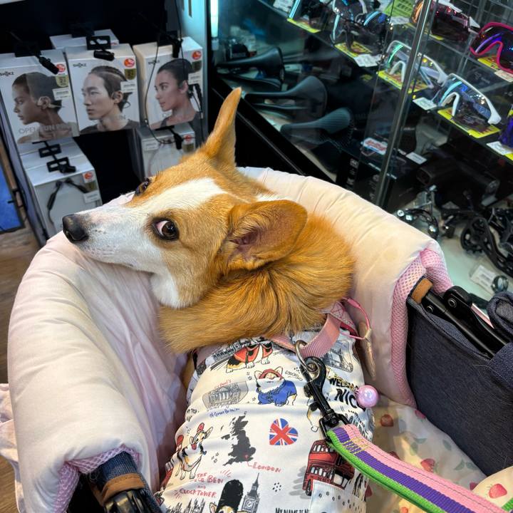 63b8ec0e a57f 4deb b9ff 2e0b868858fd 1760755453536