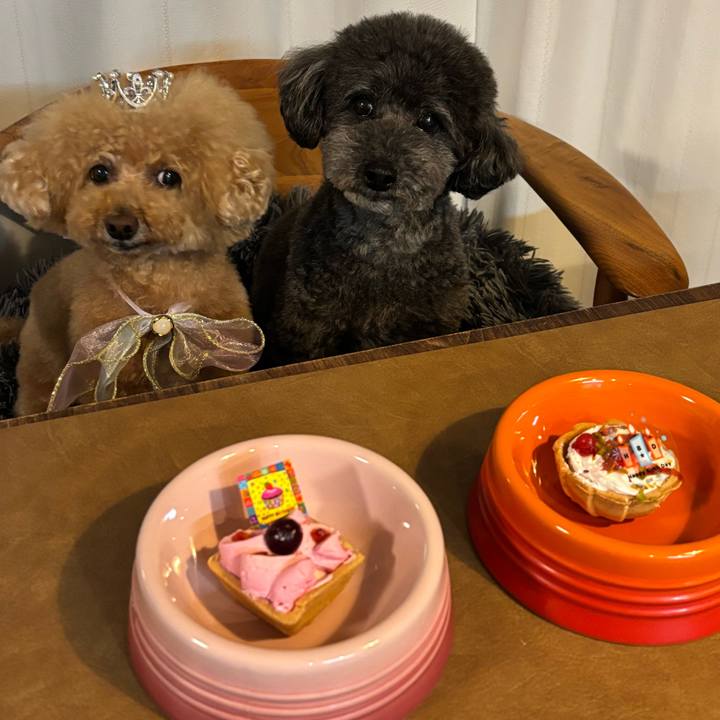 63b90a26 4810 41f5 be4c d690e58857ba 1745922672909