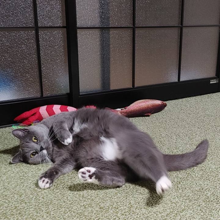 63b90b2c 9a02 4d57 9560 4e61c1ff0c05 1671628382801