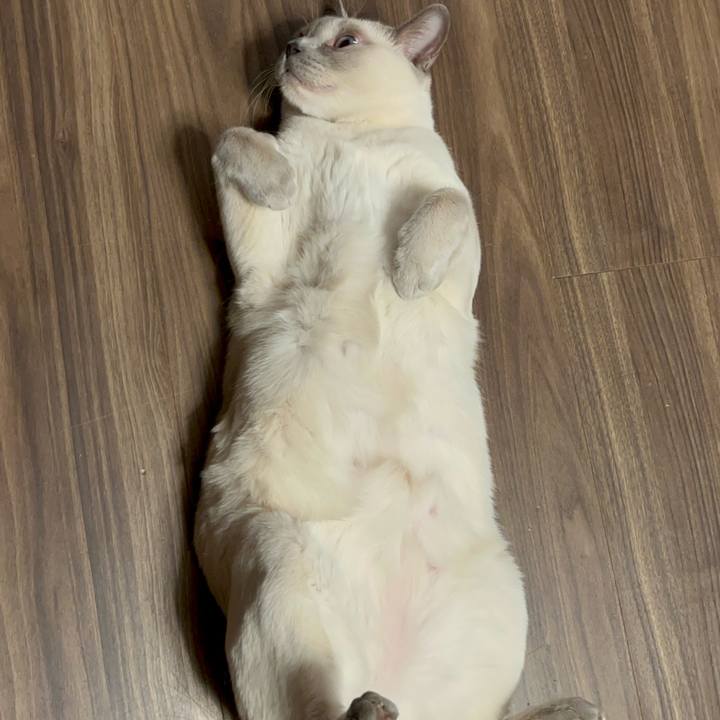 63b92515 3ab8 443b 8340 19a411655121 1758694275168