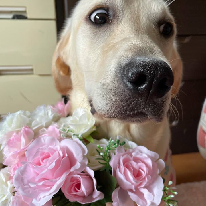 63b96b7c dbb8 4d78 a5bb c909470727ee 1625300281814