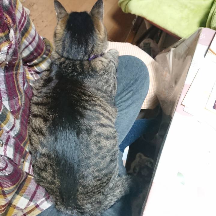 63b990fe e3c8 4bdb 8a09 a086ff3fd666 1650540954336