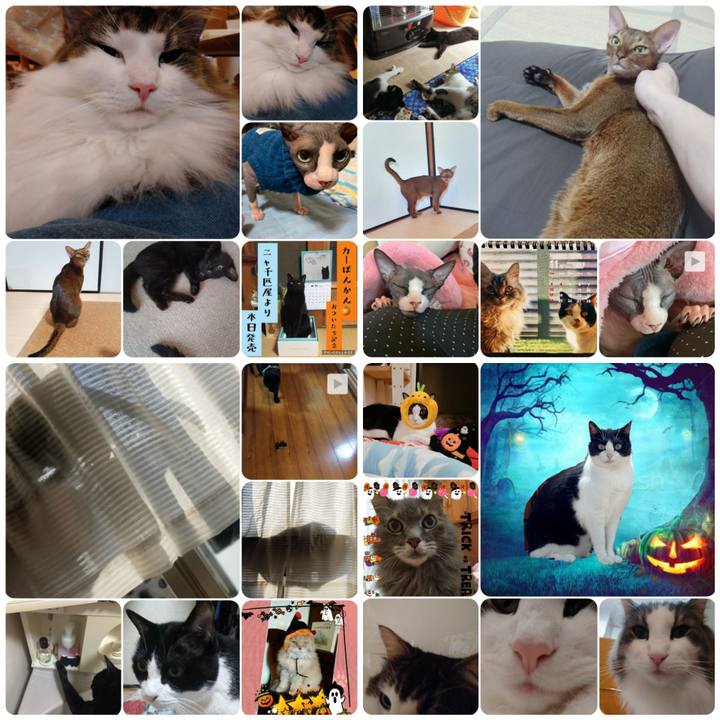 63b9a066 af91 46a3 9744 e42c25d881f9 1572610998796