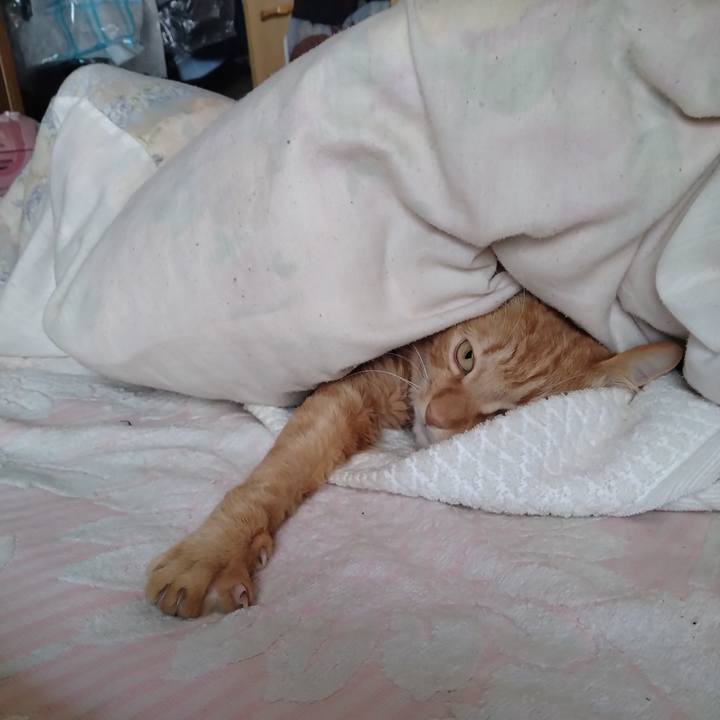 63b9a29f fb26 4d39 9a17 e04b68742995 1707123871202