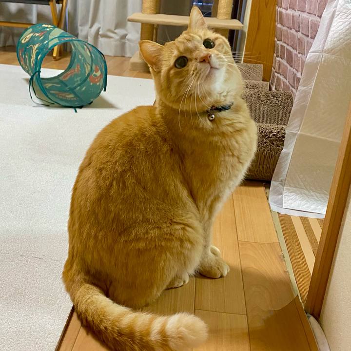 63b9d745 dce1 49b2 9b3e a944e08da900 1705995420610