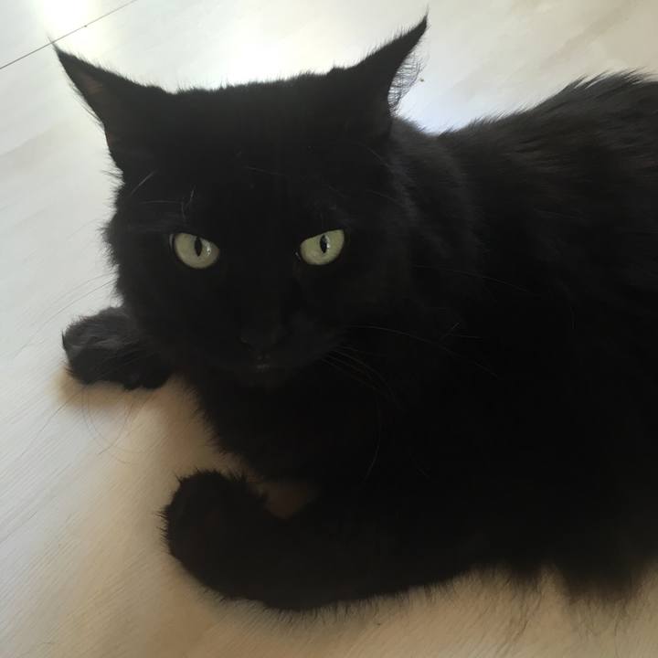 63b9f561 f417 413a 985f 451801a79050 1568688393321