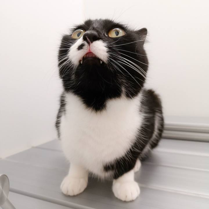 63ba3d31 0cb6 49f7 a9e8 028e4603a063 1591112598405