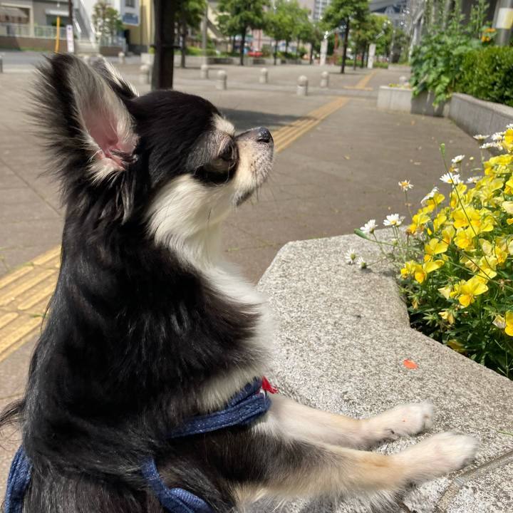 63ba4345 76f8 4296 9cd3 ec7f6edc160e 1621053928615