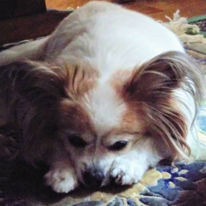 63ba77e1 ad34 47d9 ac36 148a1102d4ba 1557740265302