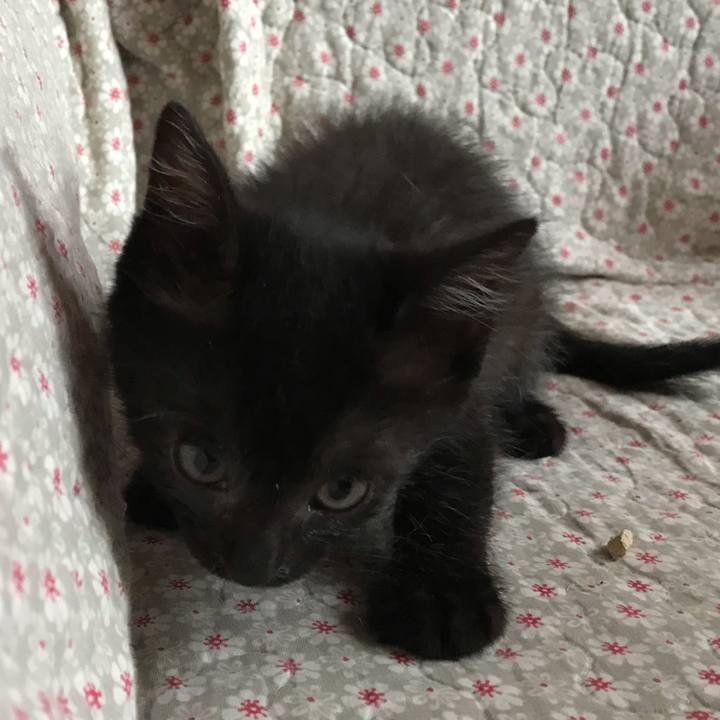 63ba787d 47ec 4200 9445 75ac9603f5fb 1561181749143