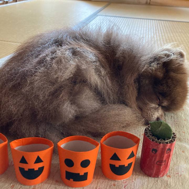 63ba9bd1 ef32 4004 81e0 1717a55925f2 1697355359521