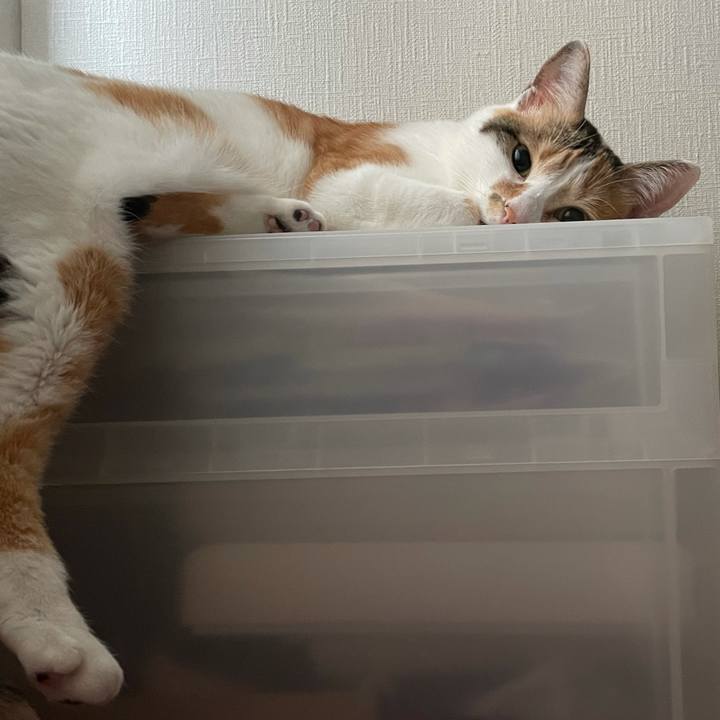 63baa415 3932 4bf7 96ac 82bd655028c1 1624067275476