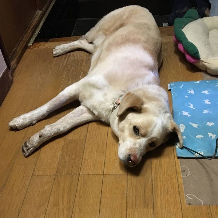 63babffd f00d 443e bed6 61d0299bdef3 1524233603604