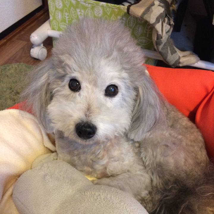 63bad5b6 473d 491f b1fc 25e5a00026a9 1509922529926