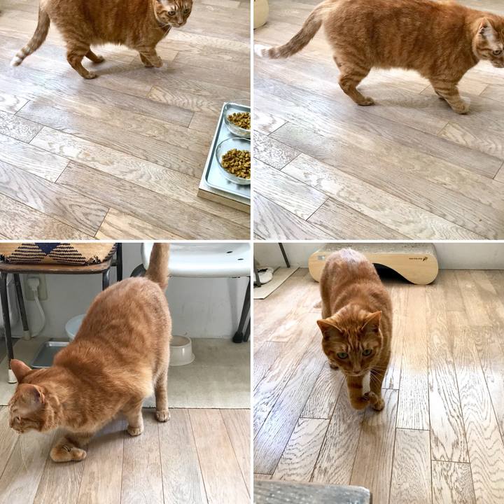 63bae074 a877 43df 965b 3127c4e425c8 1524715896510