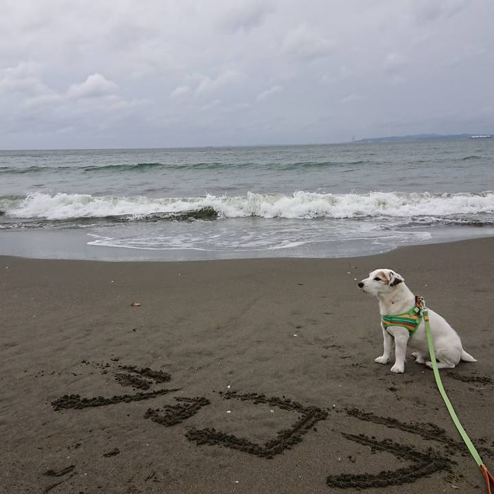 63baf796 e12e 49a7 9060 65389dc1f550 1556636546848