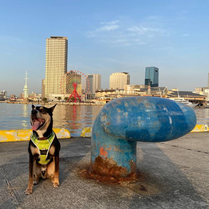 63bb154a 8670 4a26 ae52 1394de0e40e6 1647493158100