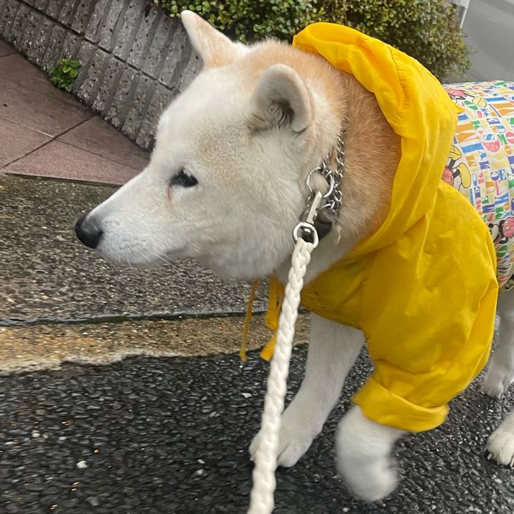 63bb593c ccd0 4061 b183 fc07ee008543 1711377216828