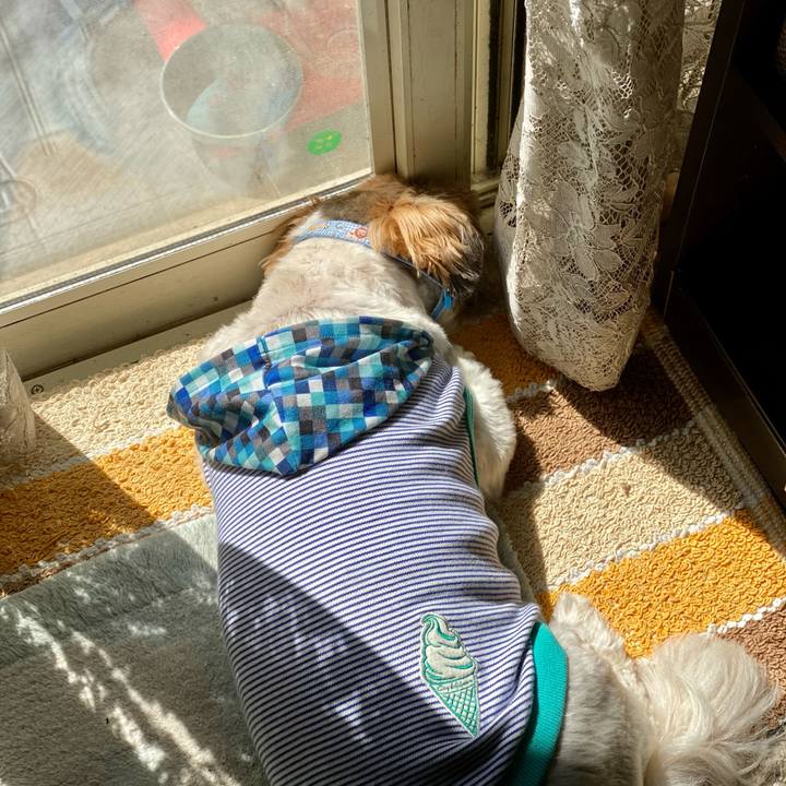 63bb9a87 2e0f 487c 856e 751fd9bf100c 1651536997851