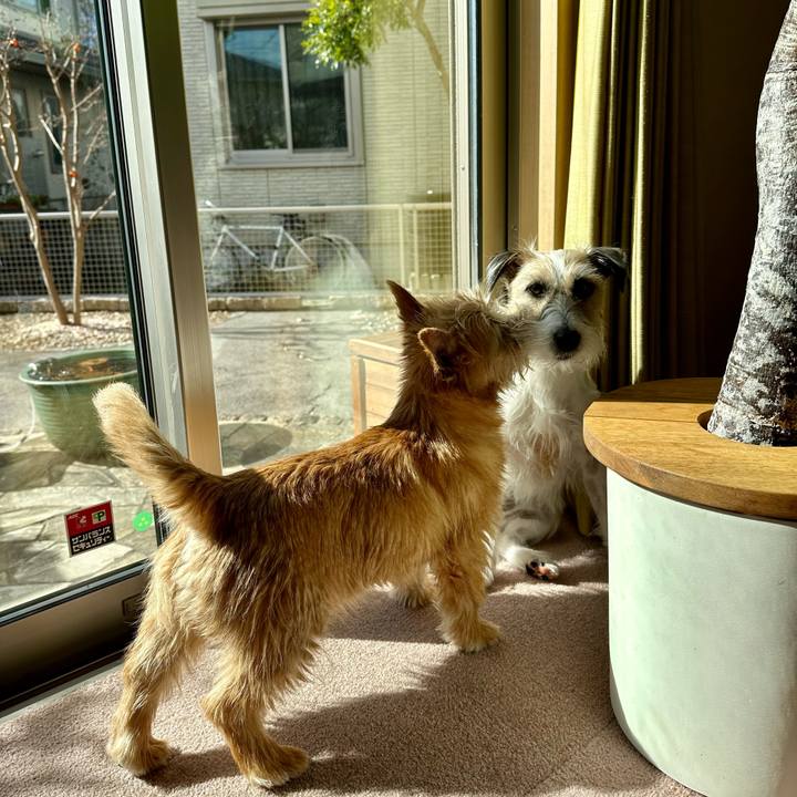 63bb9b83 85be 4997 ab94 3d07c176829f 1708046027461