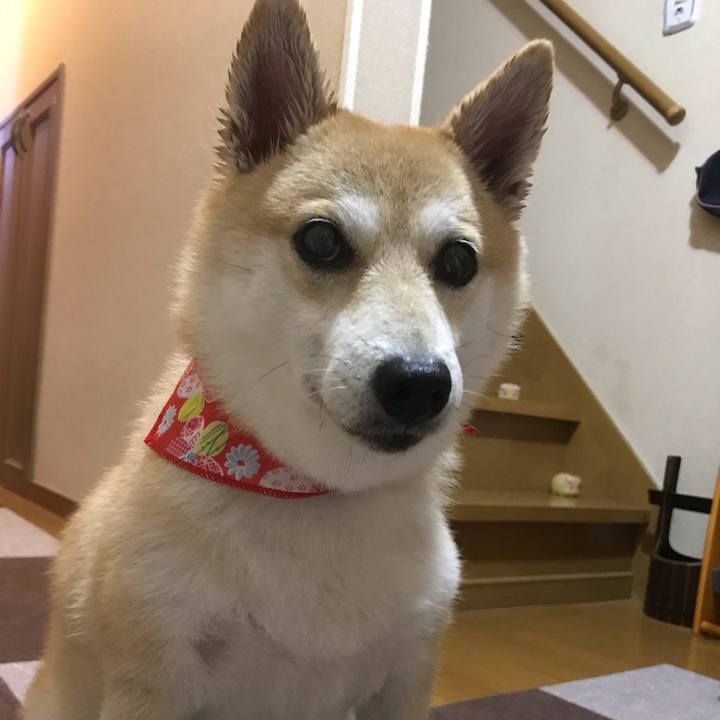 63bba683 1737 48ce ba07 c71b853086eb 1539593178506