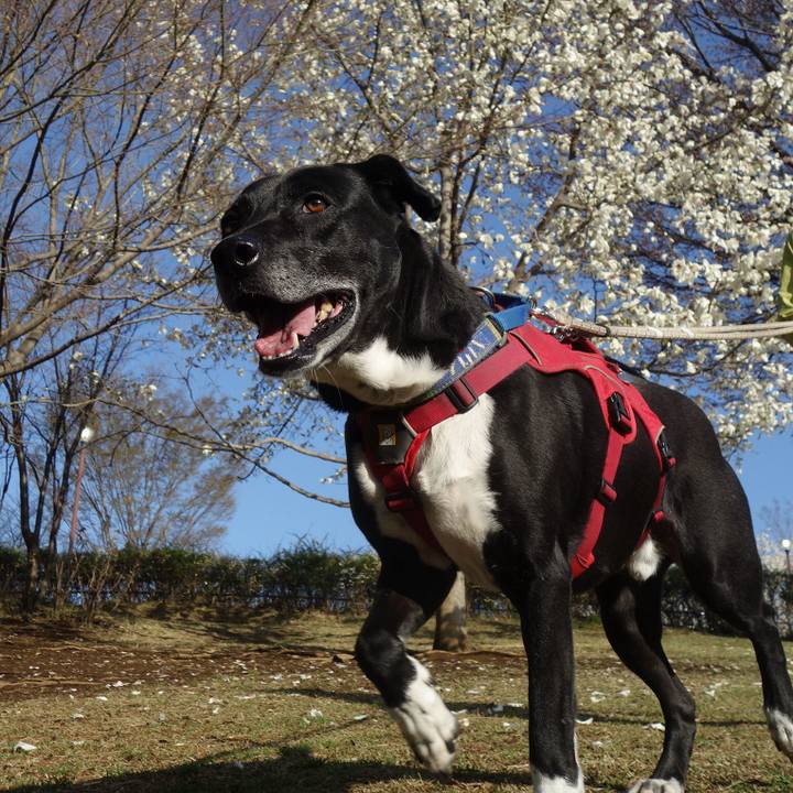 63bbc75a 3397 4fc7 b9fc ac4072ce1a31 1679185544497