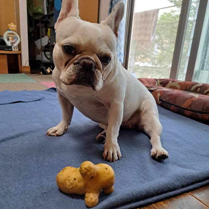 63bc3c5b bb5c 483d aaf7 dd4e25fd2212 1689478523648