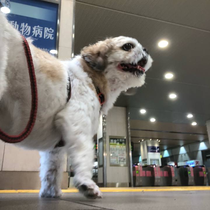 63bc5e7c 39e7 4760 a390 66a5137f12df 1594590465084