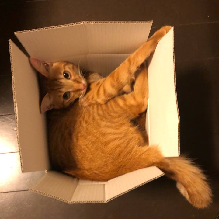 63bcb5ac b6b4 4f24 ba23 b48812ea8c12 1631742198404