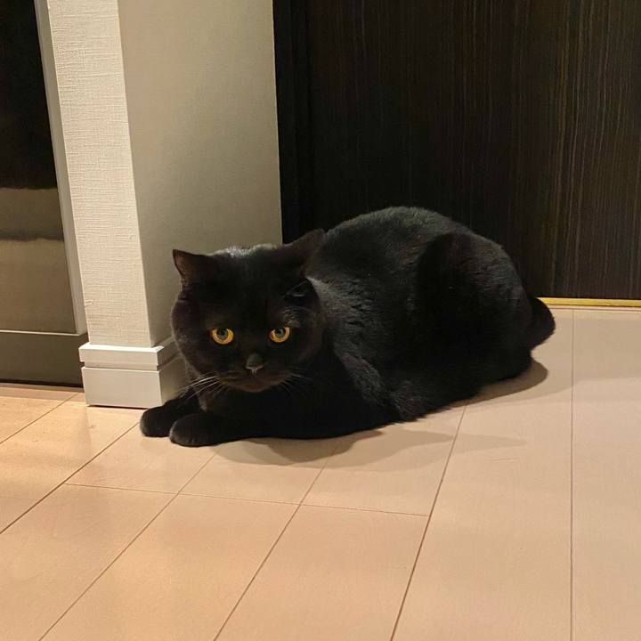 63bcc446 a558 47a1 981b 0c5da046270a 1646573442143