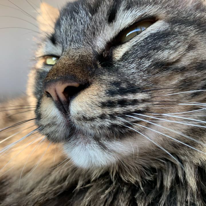 63bd3639 94a5 44d8 9122 b13ca3091a4d 1684013317508