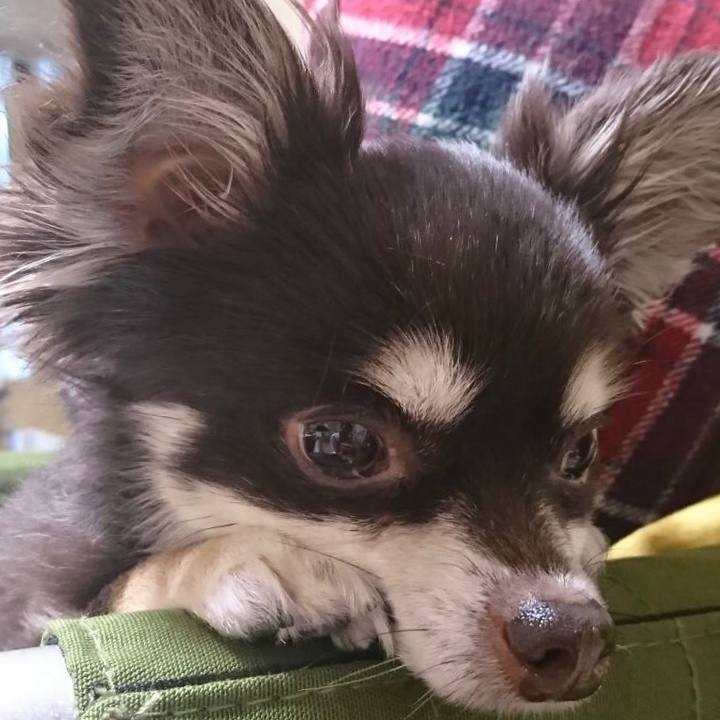 63bd3e33 7577 4e84 80cb 7bd28b758873 1532353938457