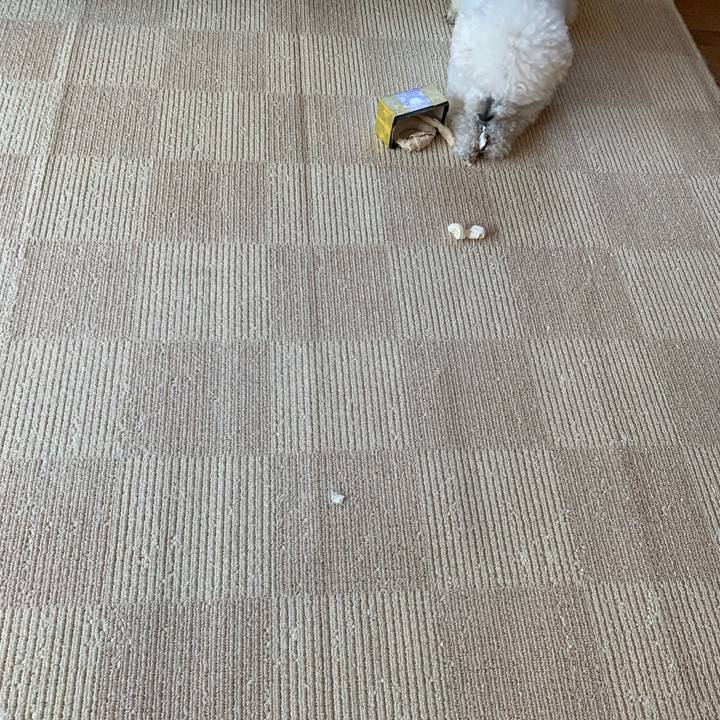 63bd60d4 c04e 4177 9754 869e88af20bf 1557270351719