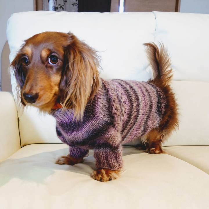 63bd93a7 d651 485f aa5d c1a9a12d1fef 1608786463052