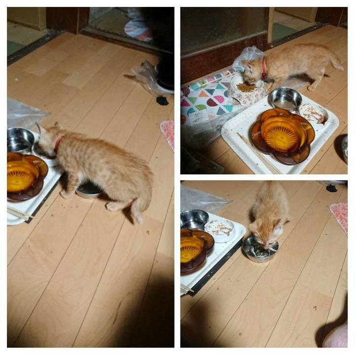 63bd9ef6 e054 475b a992 43b81c62ef50 1630873705073