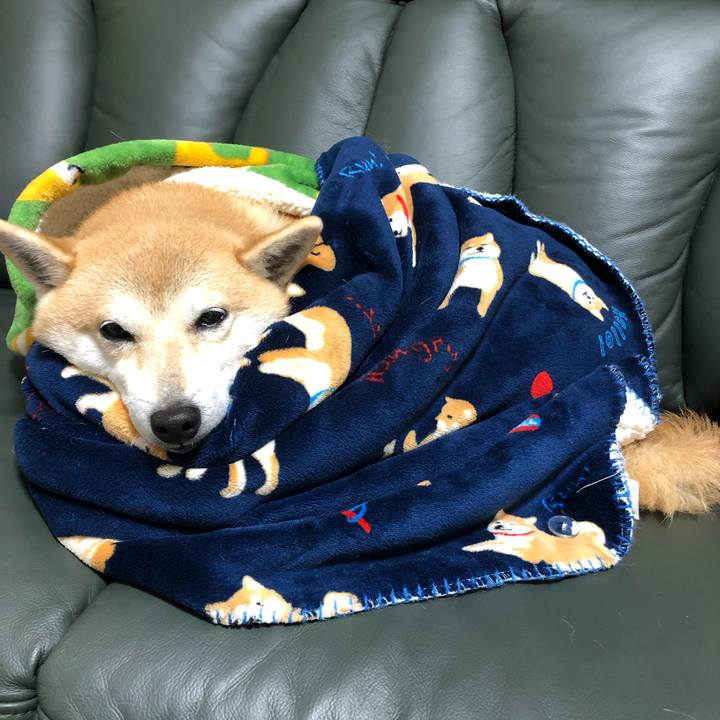 63bdb371 731f 403f 93e0 d9a4ec2f04fd 1575726920311