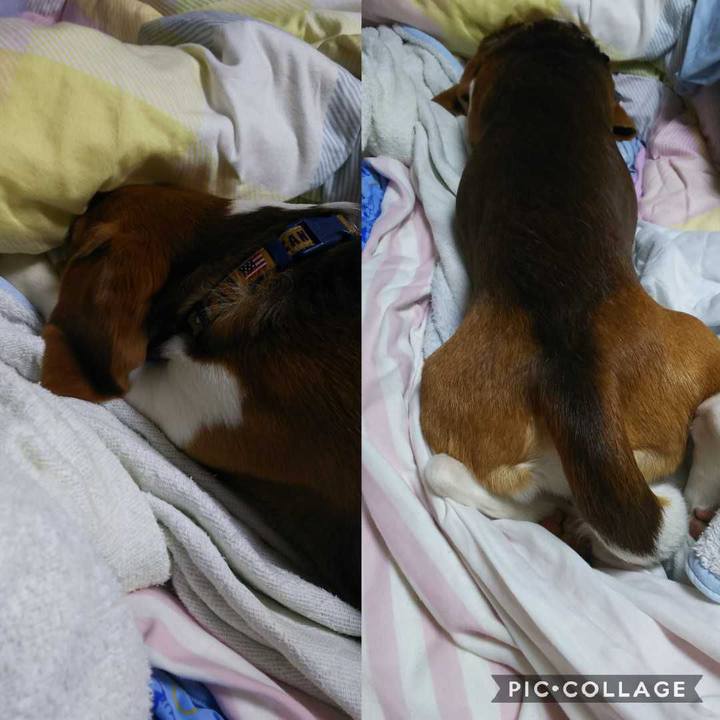 63bdb3f4 182d 40a7 b90f 5c7921b4722d 1583938999177