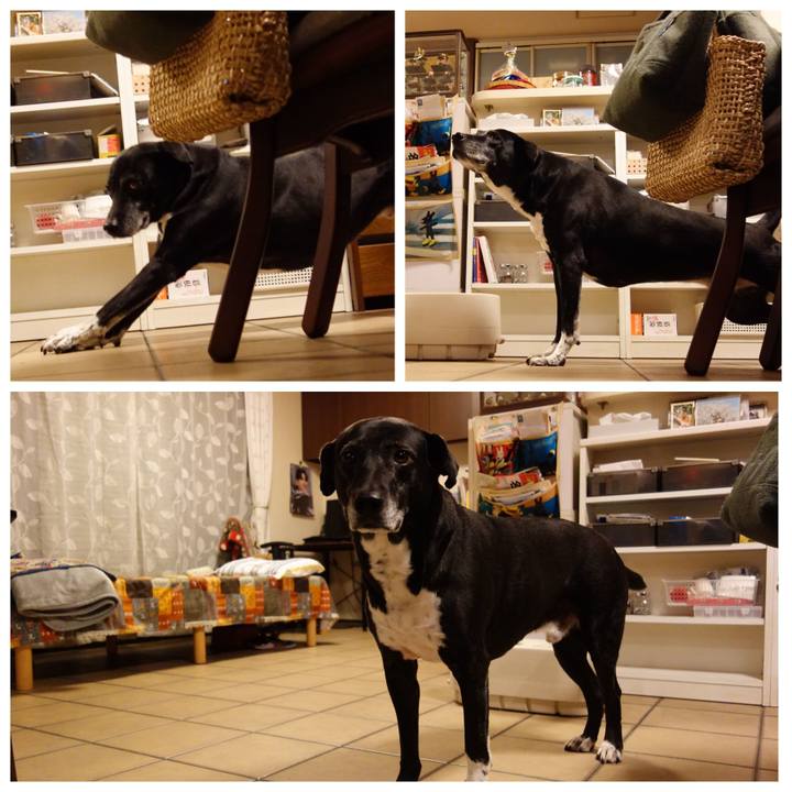 63bde8de 7765 435a a243 1f419e3bdfed 1742641601381