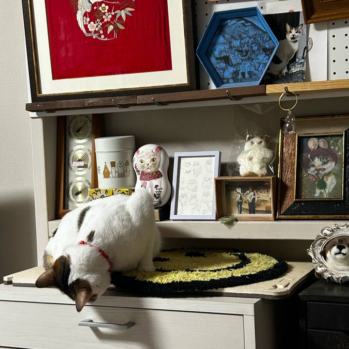 63be05f9 8b35 496d 9f8f 8f262dbf850d 1757368466533