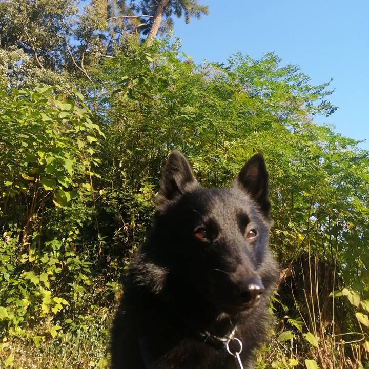 63be236d 0a89 482b 95ed 31596f3fa67e 1636238006227