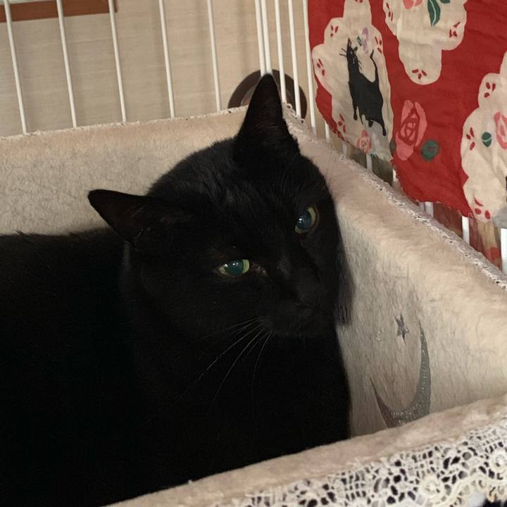 63be3076 e459 4522 91af 6785dcb9ac01 1547341739375