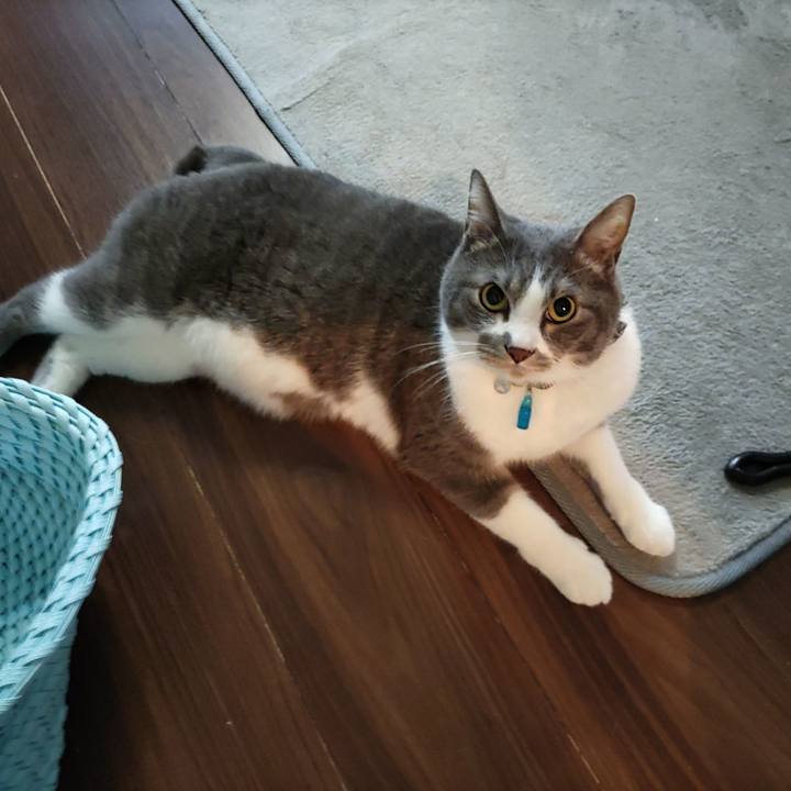 63be3683 5fb3 4ecb 8b40 0c0bf54e2e93 1713826668722