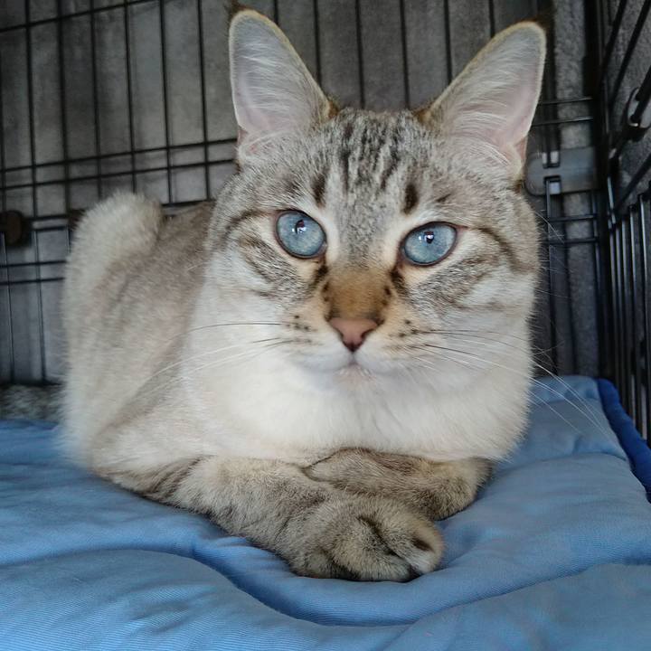 63be4dec 6fb6 47ab 933a 18dcb5d47da9 1717814086240