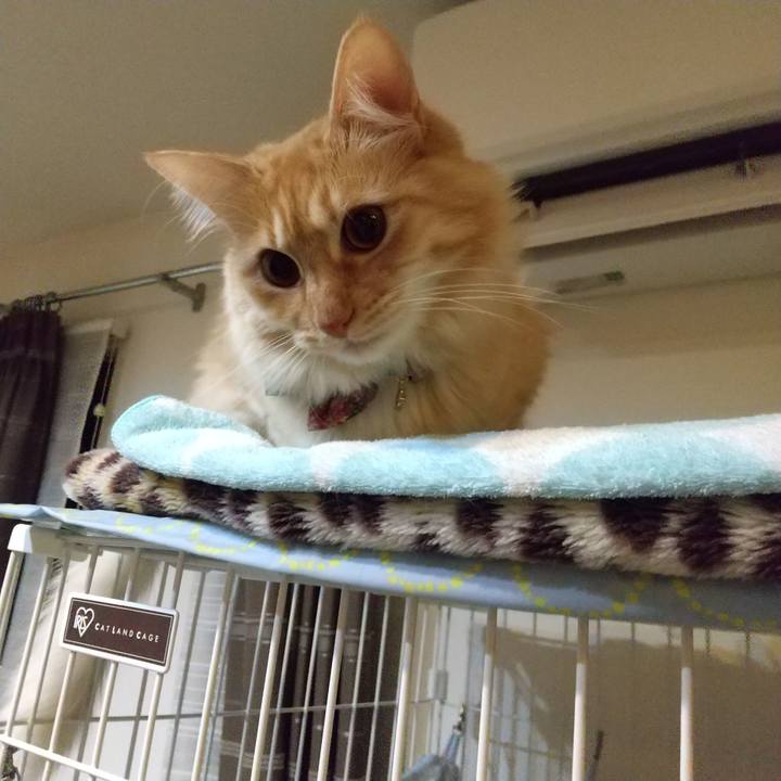 63be80c6 49e4 4621 af78 60c29b540b9e 1643665033642