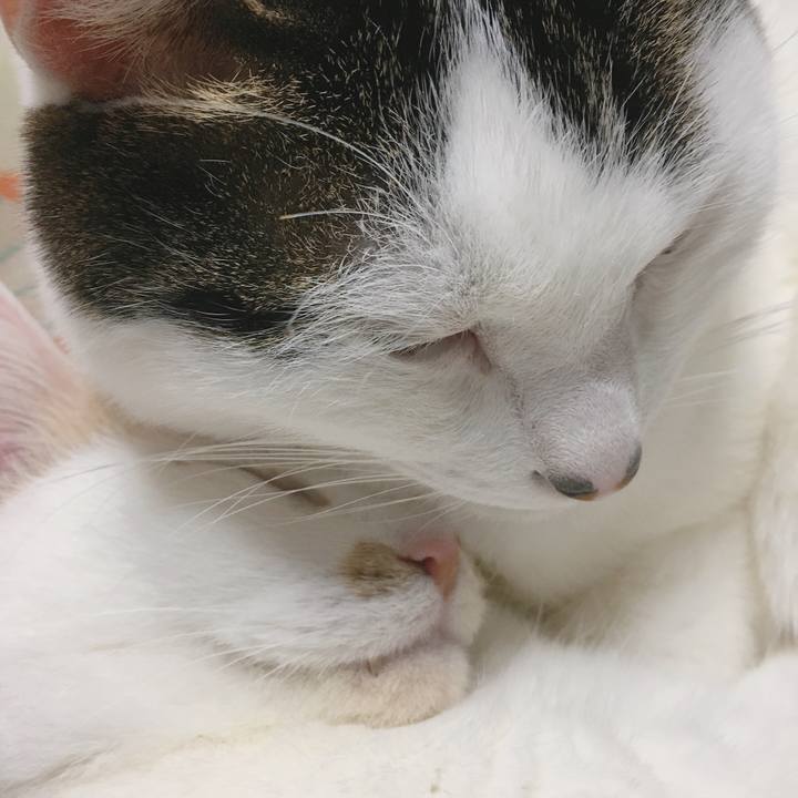 63be8d18 470f 4713 a238 09673b1a6788 1579414086814