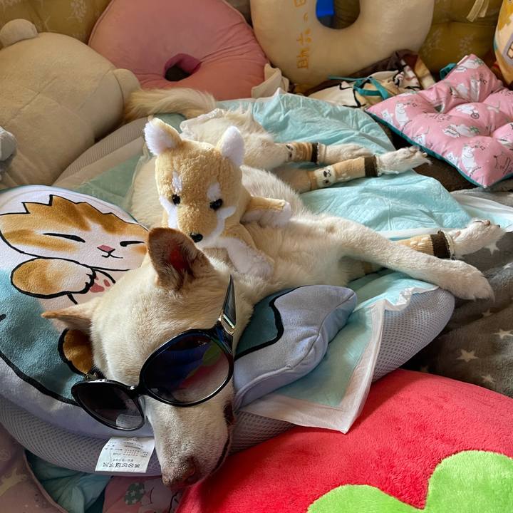 63be92bd 7a64 4bcd aa4f a05f7d5f2220 1680063928123