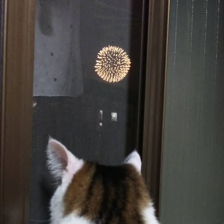 63bec320 f15f 4139 aec7 ddabe747c4dc 1533813047911